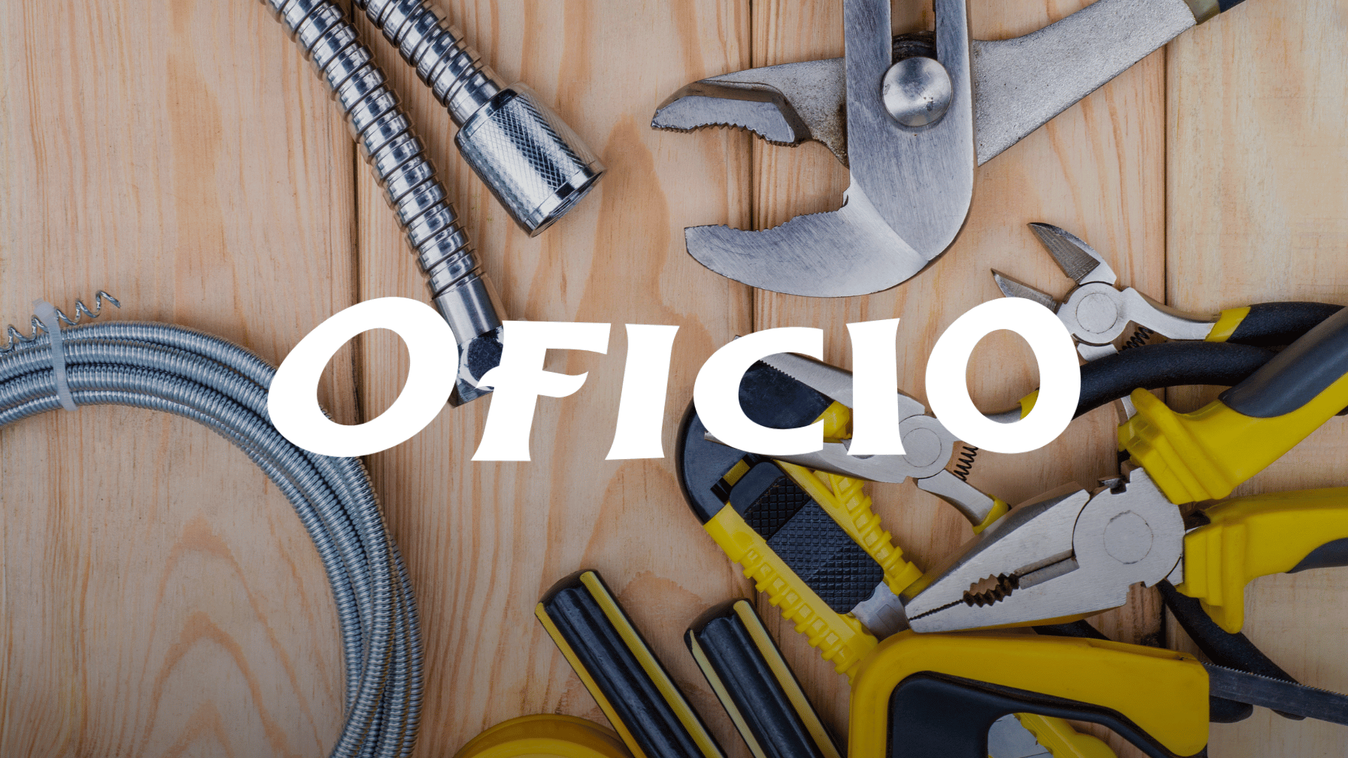 PAGINAS WEB OFICIO